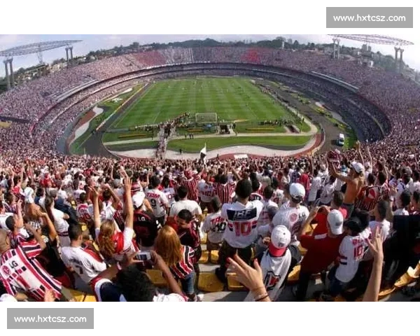 深度解读主场比赛优势与战术布局及球迷氛围影响全景分析策略探讨 - 副本