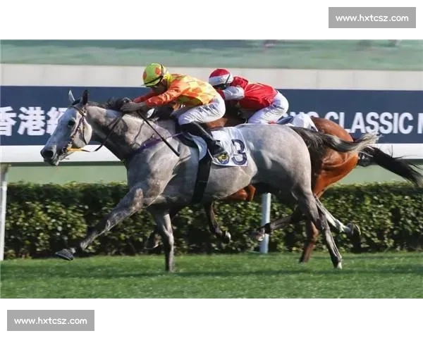 积分形势牵动赛季走向各队争夺进入关键阶段分析全面解读未来走势 - 副本 - 副本